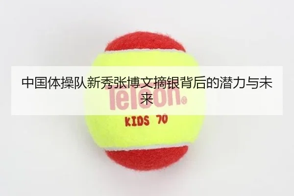 中国体操队新秀张博文摘银背后的潜力与未来